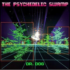 Dr. Dog NEW VINYL Psychedelic Swamp LP SEALED